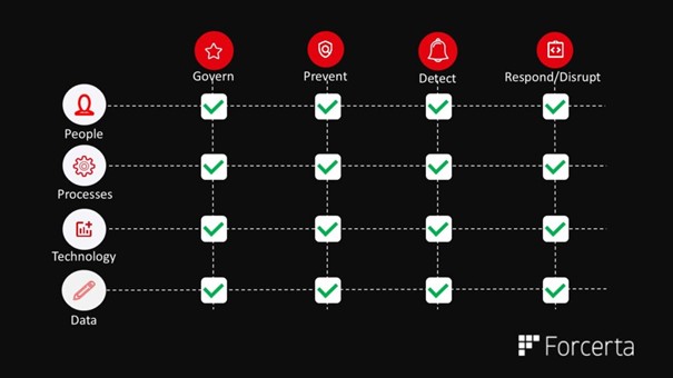 Forcerta Fraud Risk Management Service Scope